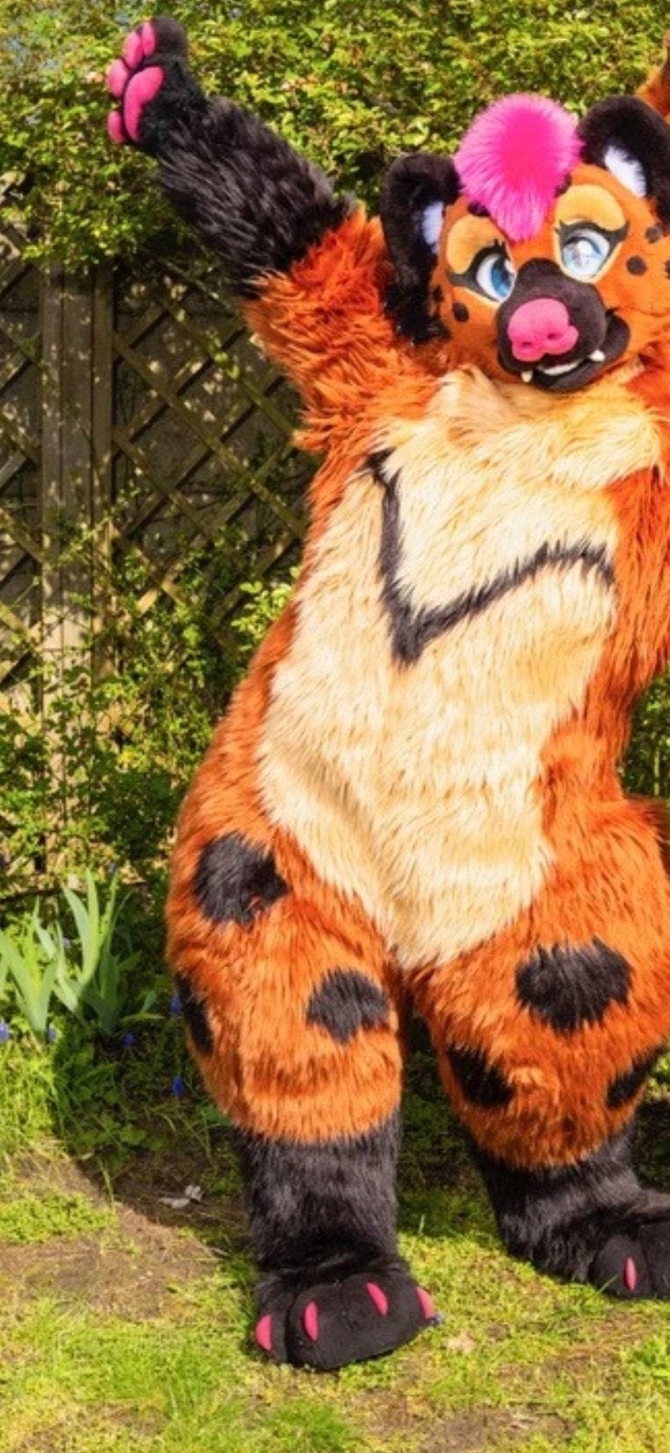 hyena full fursuit, Hobby en Vrije tijd, Kostuums, Theaterbenodigdheden en LARP, Ophalen of Verzenden, Zo goed als nieuw, Toneelattributen of Onderdelen