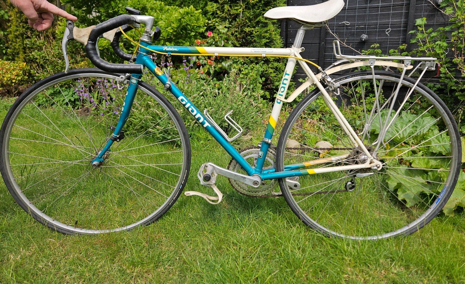 Goed onderhouden racefiets  Giant Peloton, Fietsen en Brommers, Fietsen | Racefietsen, Ophalen, 28 inch, Gebruikt, Velgrem