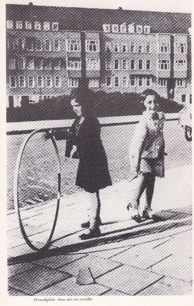 Paape e.a. - De Dagboeken van Anne Frank (1986), Ophalen of Verzenden, Nieuw, Natuurwetenschap