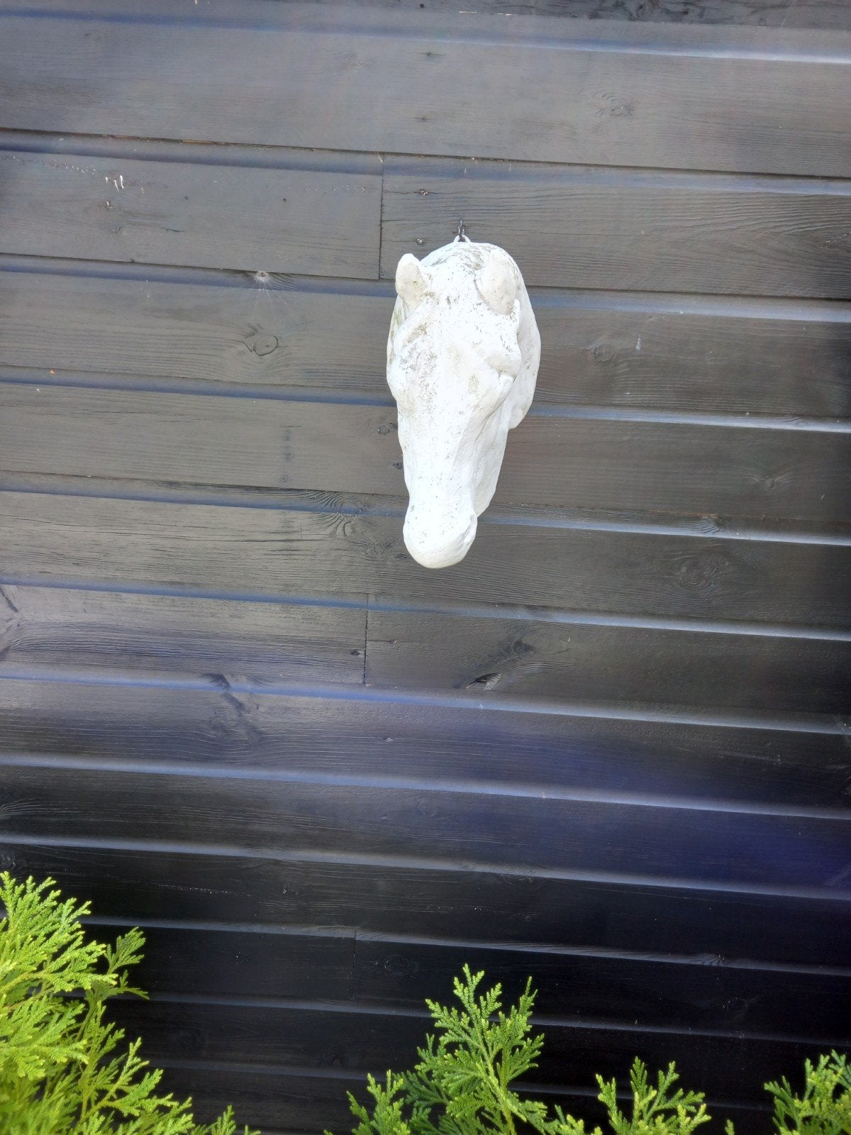 betonen paarden hoofd, Tuin en Terras, Ophalen