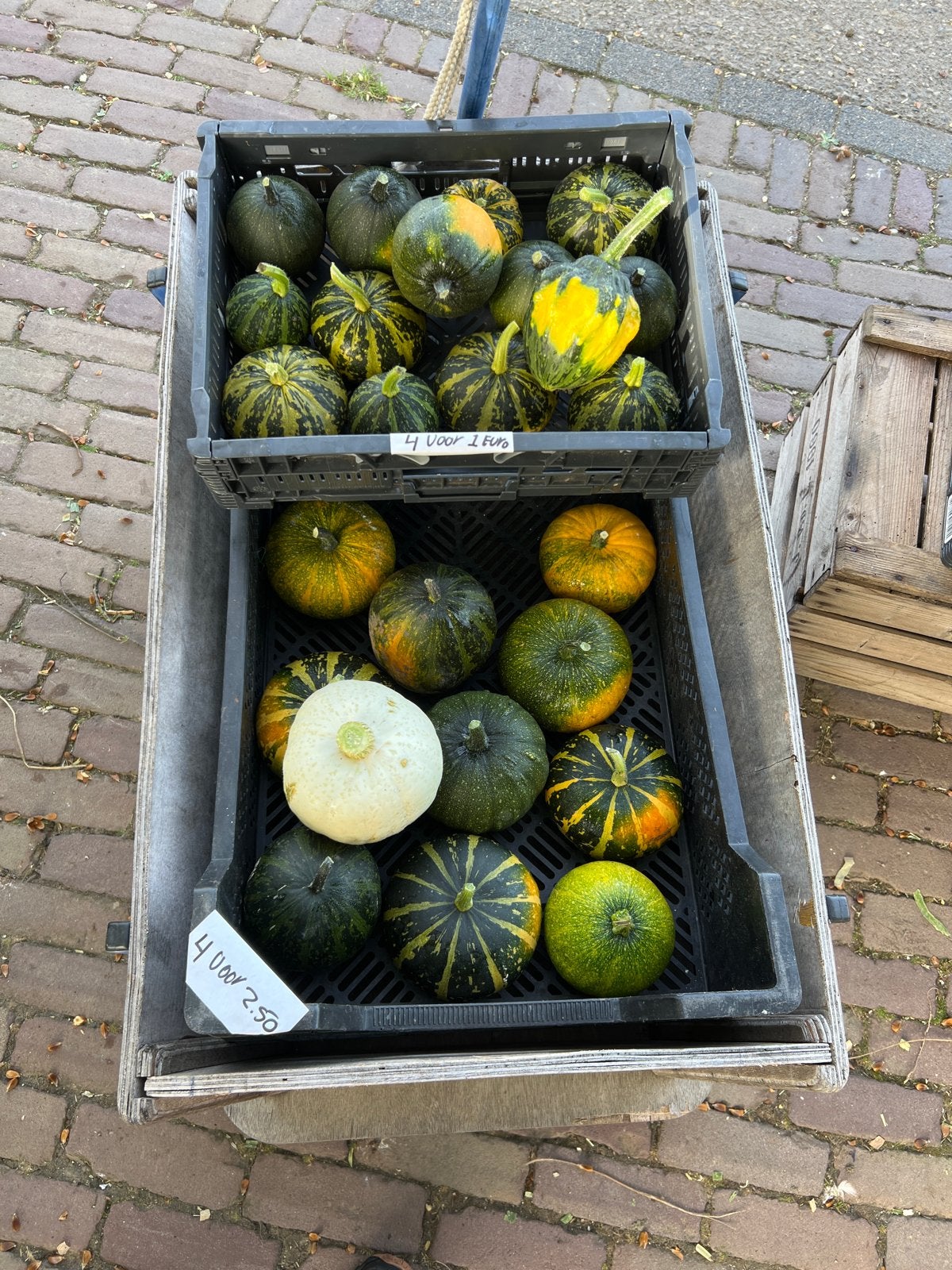 Verse Pompoenen en Sierkalebassen - Diverse Soorten, Ophalen