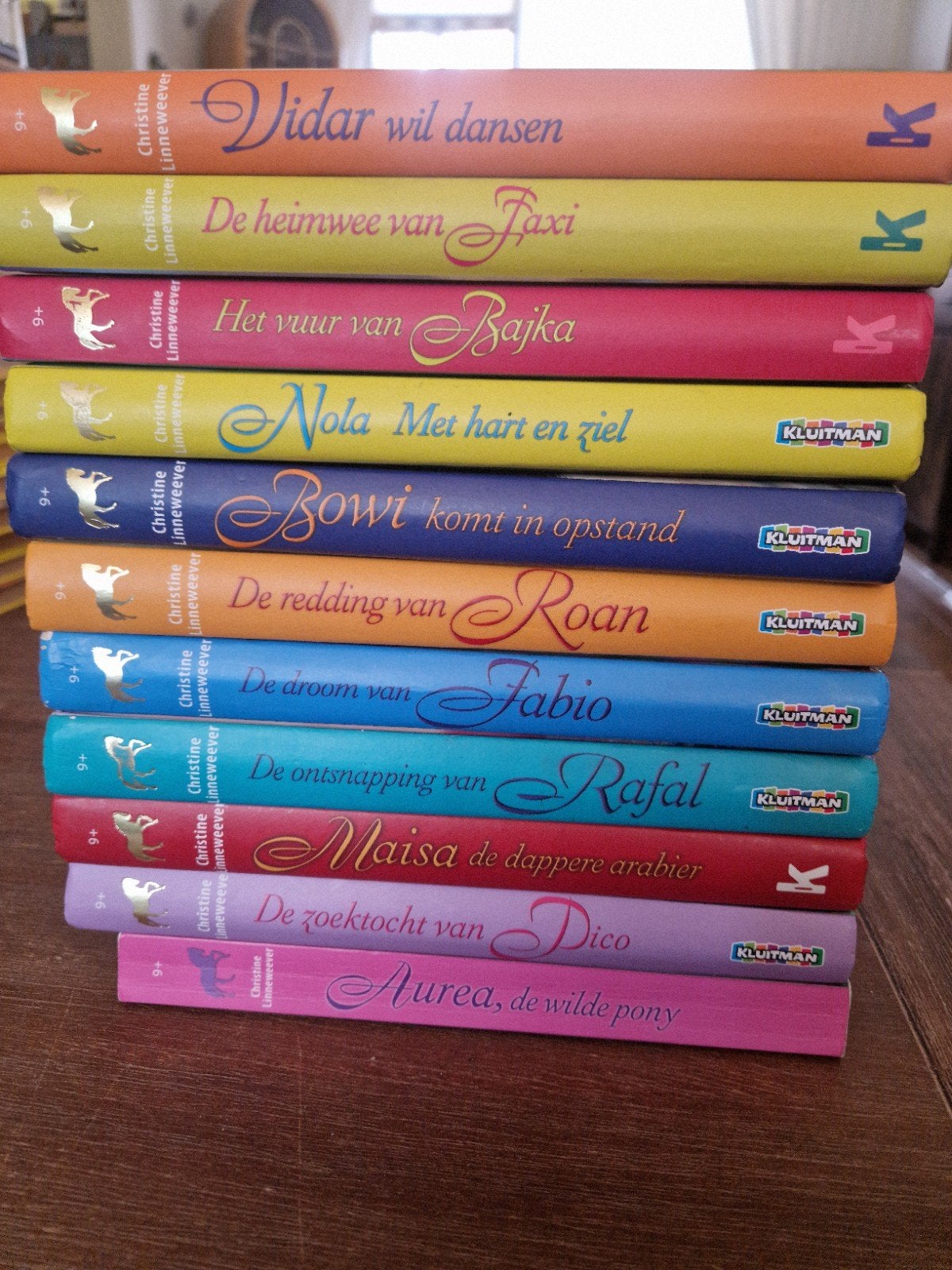 Christine Linneweever Boeken - 11-delige set, Boeken, Ophalen of Verzenden, Gelezen, Christine Linneweever, Fictie