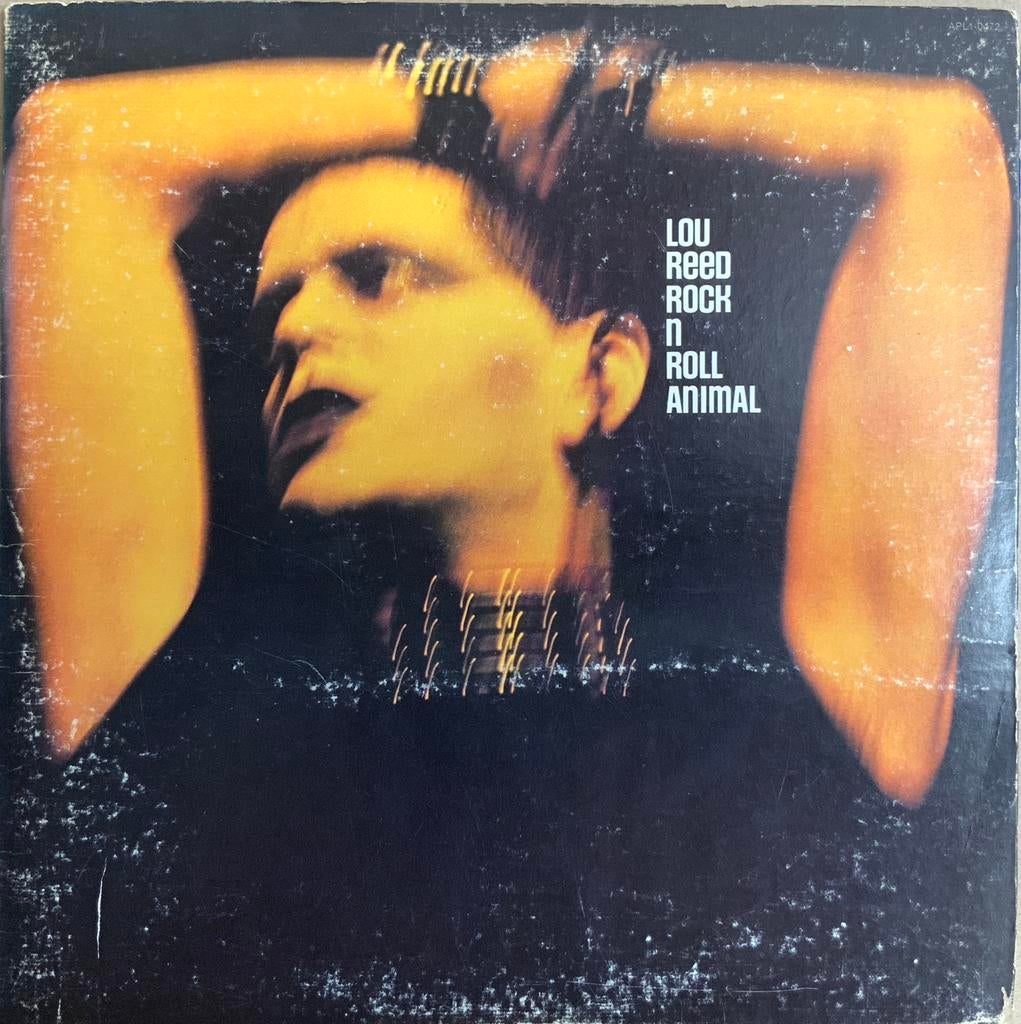 Vinyl Lou Reed (2 albums), Verzenden, Gebruikt, 12 inch, Poprock