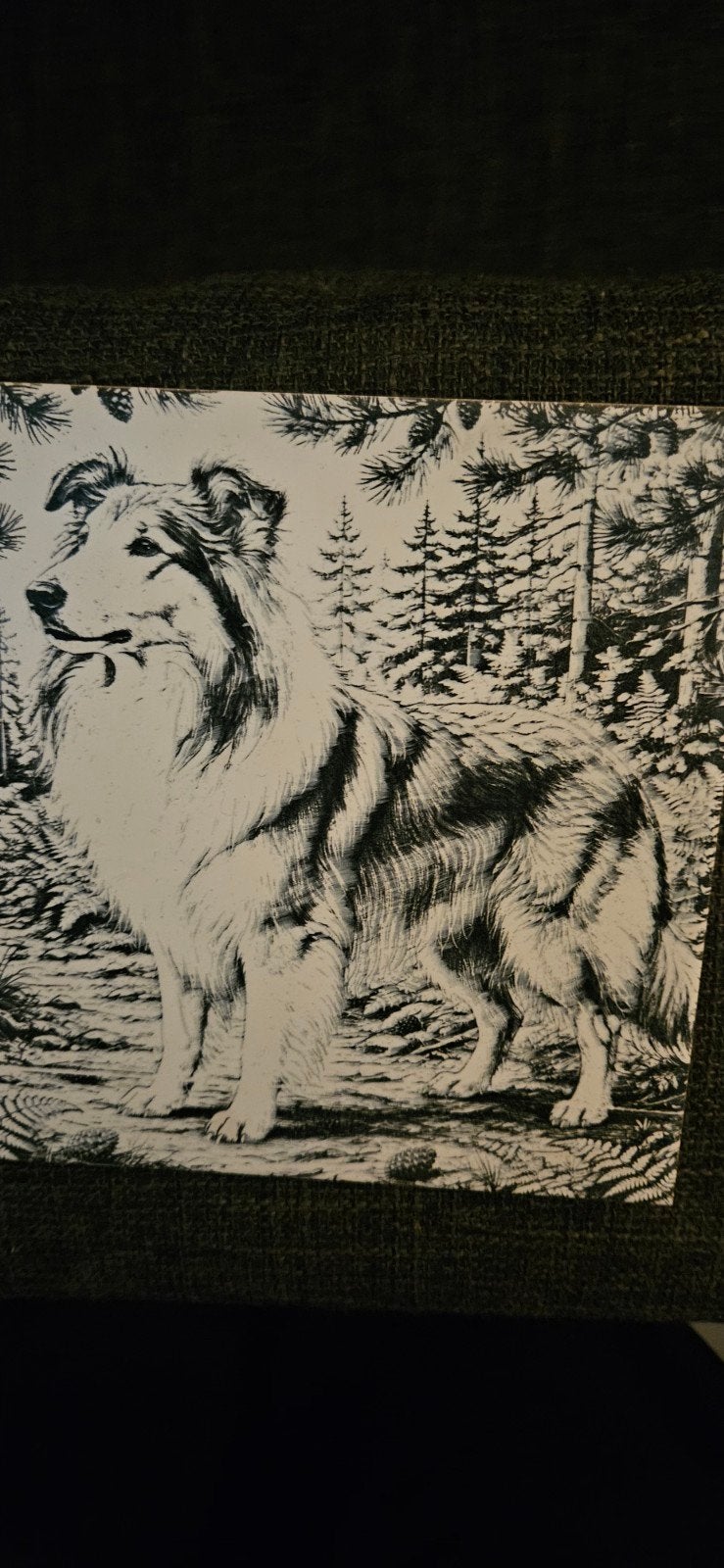Tegeltje Schotse collie. 15x15., 15 cm, Nieuw, 15 cm, Ophalen of Verzenden
