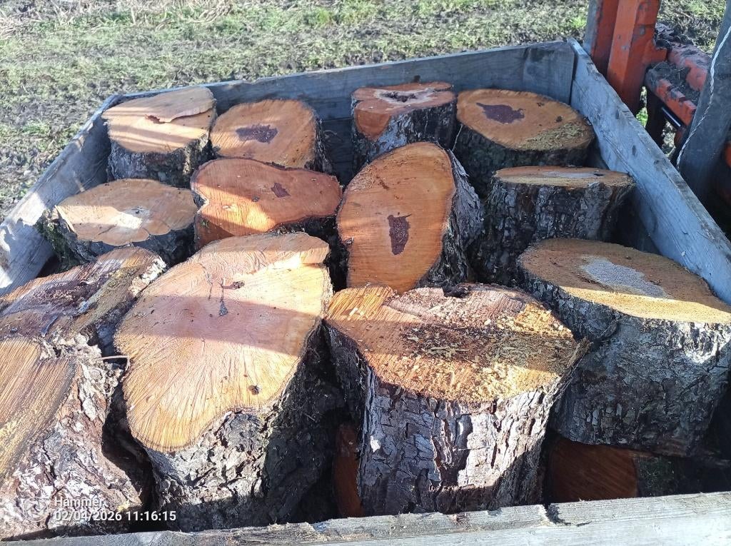 Openhaardhout blokken peer, nog te klieven, Tuin en Terras, 3 tot 6 m³, Ophalen, Overige houtsoorten, Blokken