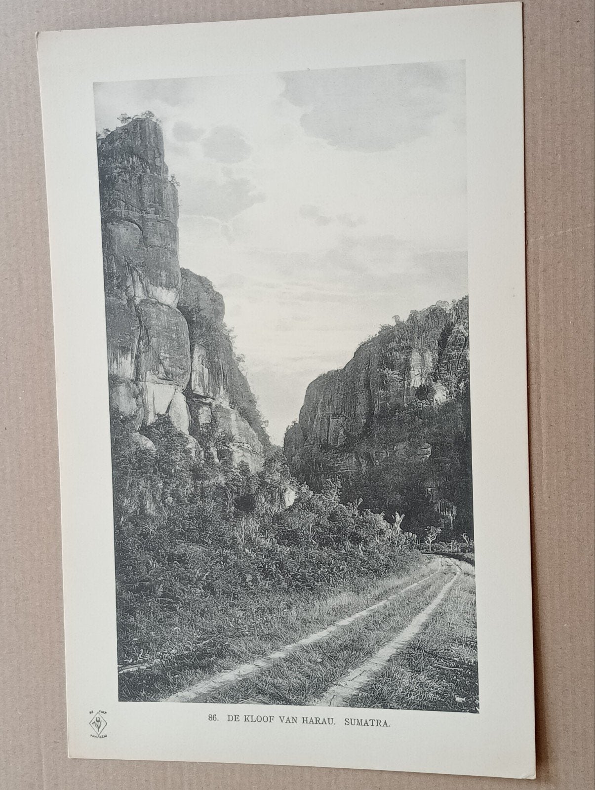 Foto gravure Nederlands Indië Indonesië Indonesia 1910, Ophalen of Verzenden, Gelezen, Overige onderwerpen
