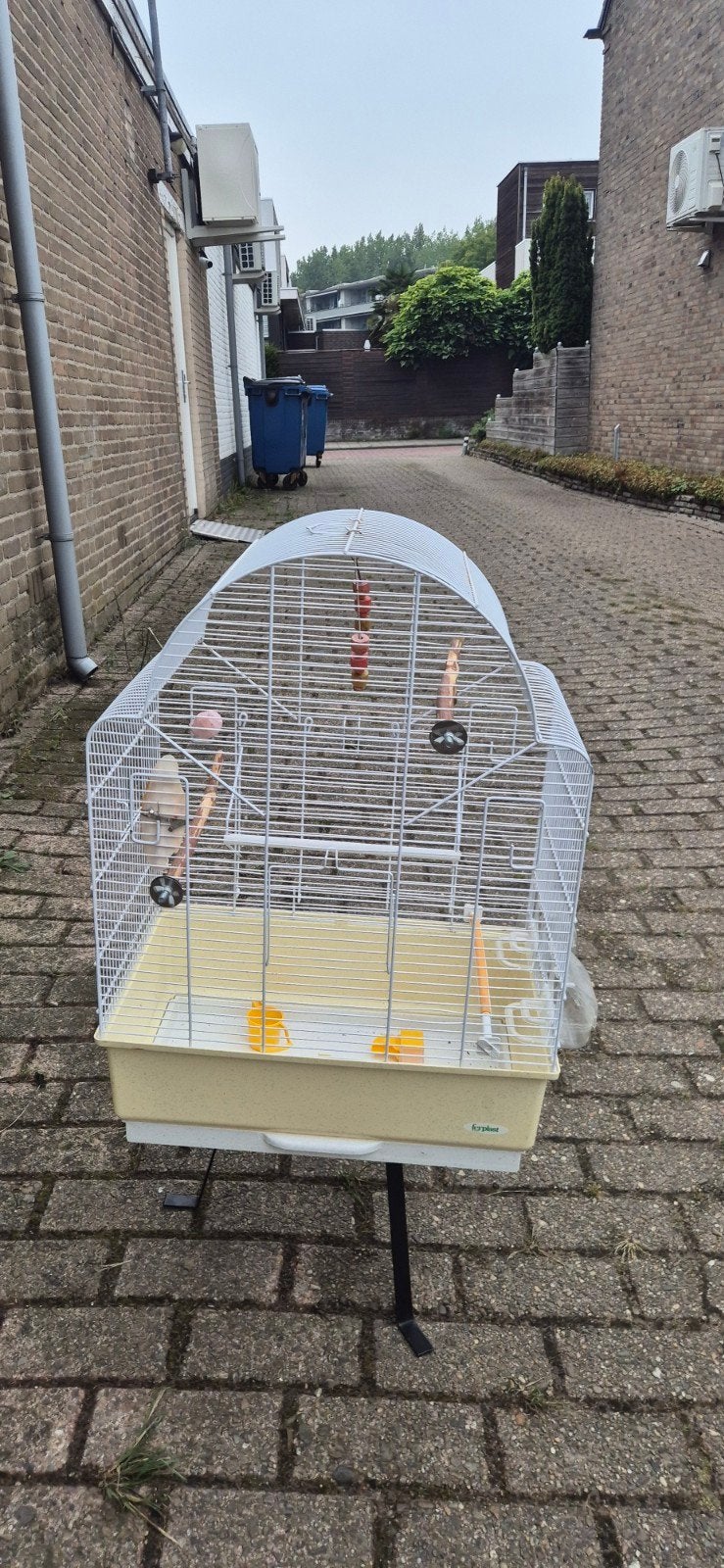 vogelkooi wit, Ophalen, Metaal, Vogelkooi
