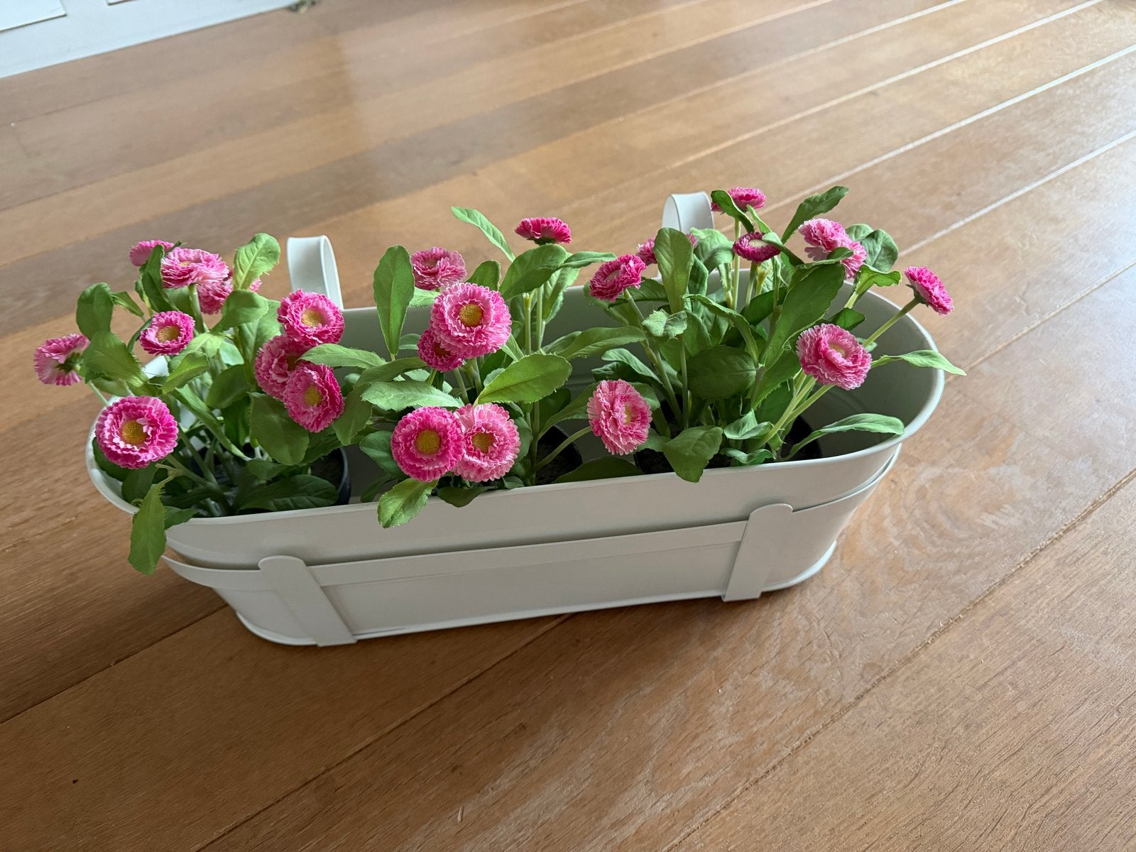Witte balkon bloembak met roze madeliefjes, Tuin en Terras, Bloembakken en Plantenbakken, Ophalen, Minder dan 30 cm, Balkon, Zo goed als nieuw