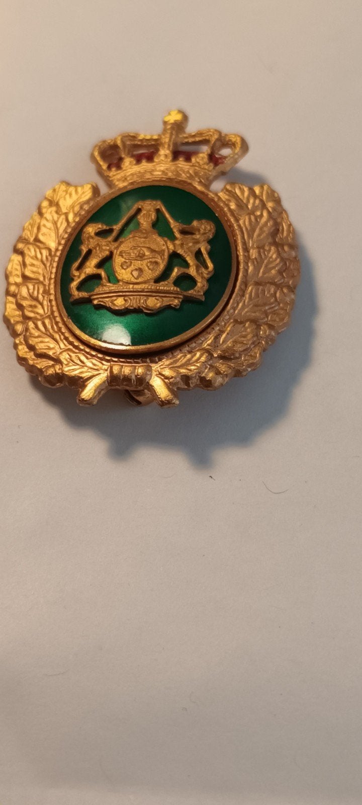 Vintage Broche/Speld met Kroon en Wapen - Goudkleurig, Verzamelen, Ophalen of Verzenden