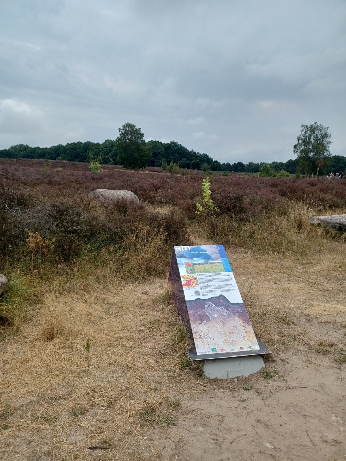 ontspanning., Diensten en Vakmensen