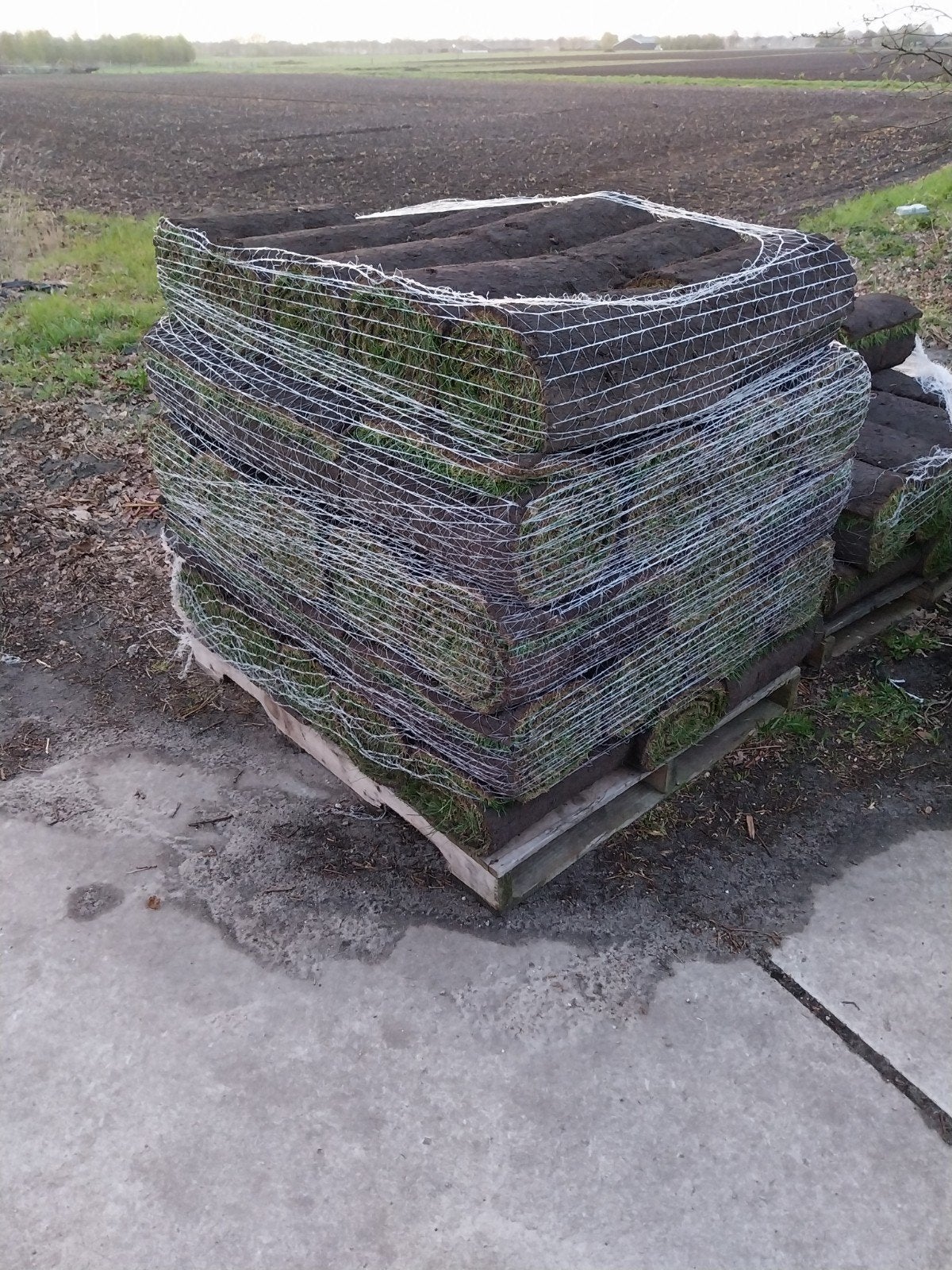 Verse Graszoden voor een Prachtig Gazon, Tuin en Terras, Gras en Kunstgras, Ophalen, 20 m² of meer, Grasweg 10, 1234 AB Groenland