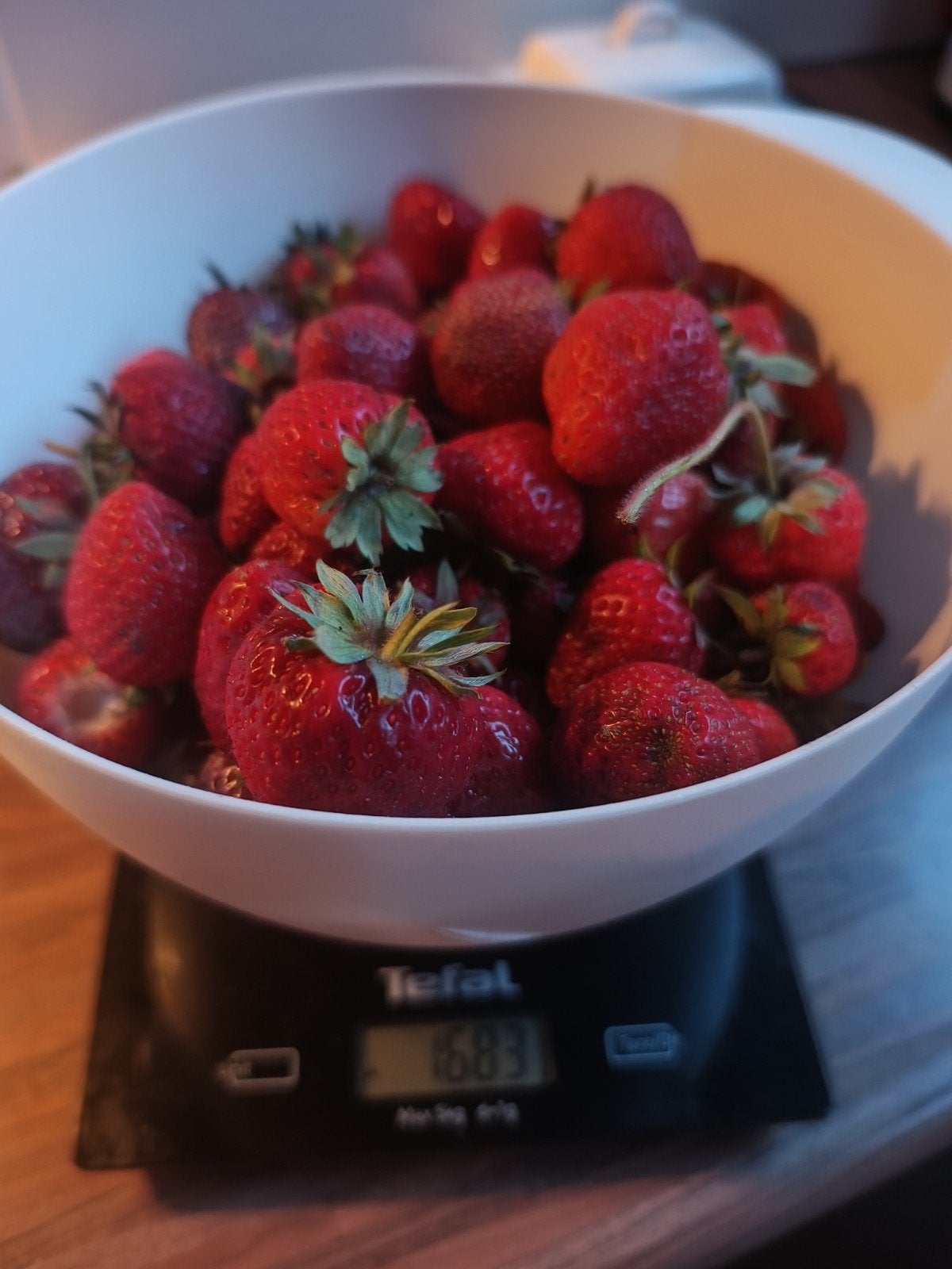 Tûnoanewal -biologische verse aardbeien!, Ophalen, Eenjarig, Groenteplanten, Volle zon