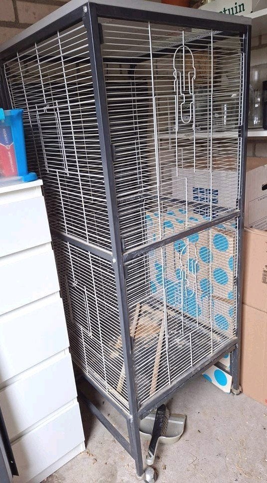 Vogelkooi, Ophalen, Gebruikt, Metaal, Vogelkooi