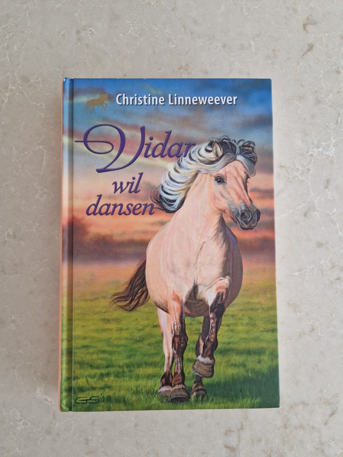 Ruilen: hardcover boek "Vidar wil dansen" - Christine Linnew, Boeken, Ophalen, Gelezen, Christine Linneweever, Fictie