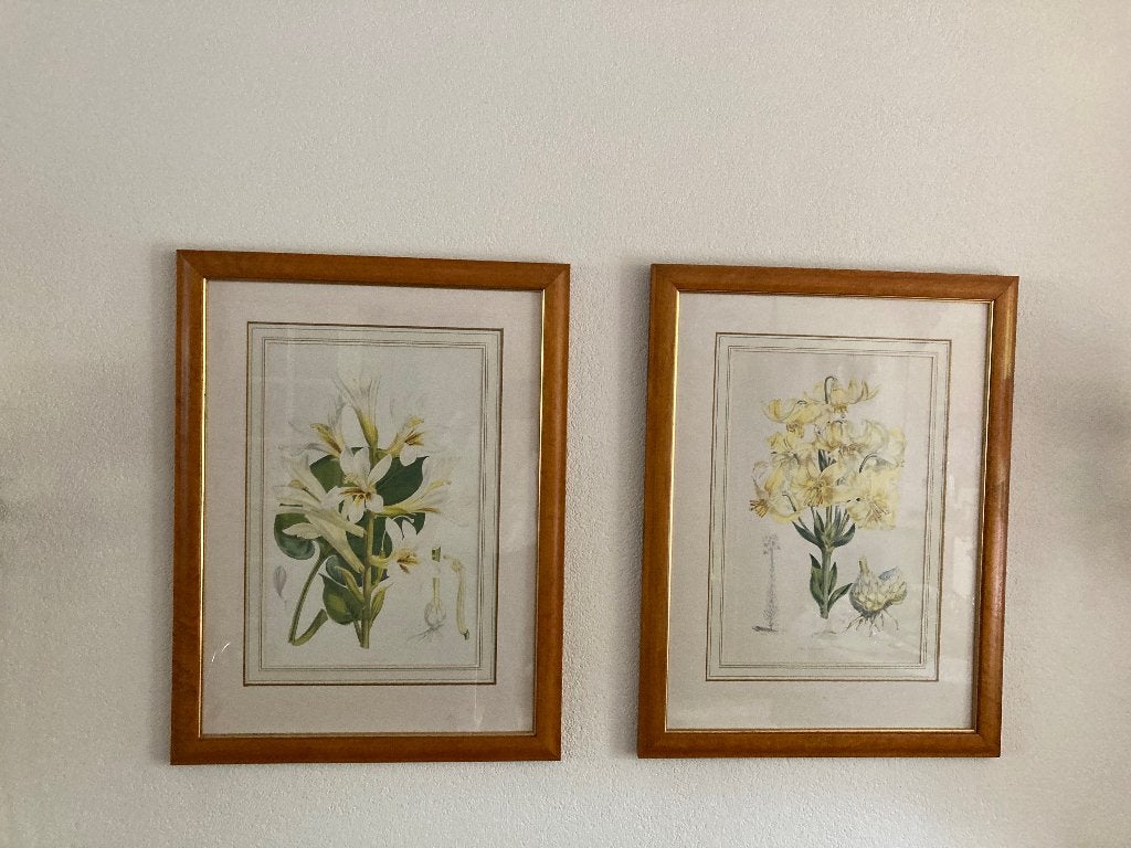 Laura Ashley schilderijen botanische bloem 2 stuks vintage, Antiek en Kunst, Doek, Ingelijst, Klassiek, Ophalen