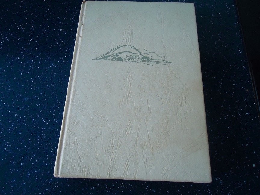 pension op stelten ,, door mary burchell boek uit 1961, Boeken, Gelezen, Mary burchell, Ophalen of Verzenden, Nederland