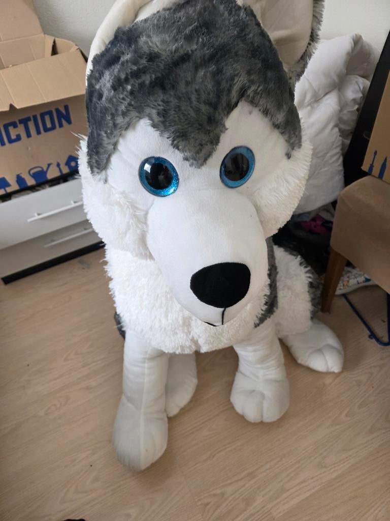 Grote knuffel husky - Zo goed als nieuw, Ophalen, Grijs, Hond, Zo goed als nieuw