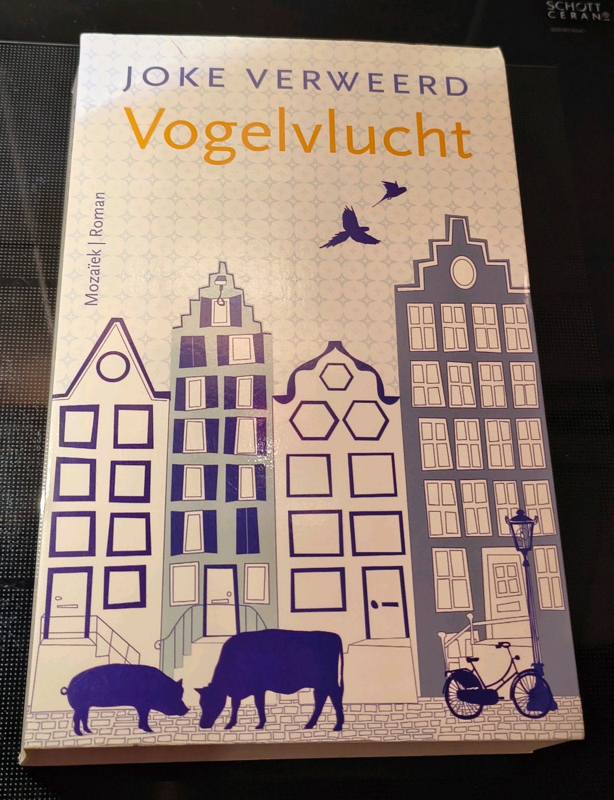Vogelvlucht, Joke Verweerd, Ophalen of Verzenden, Gelezen
