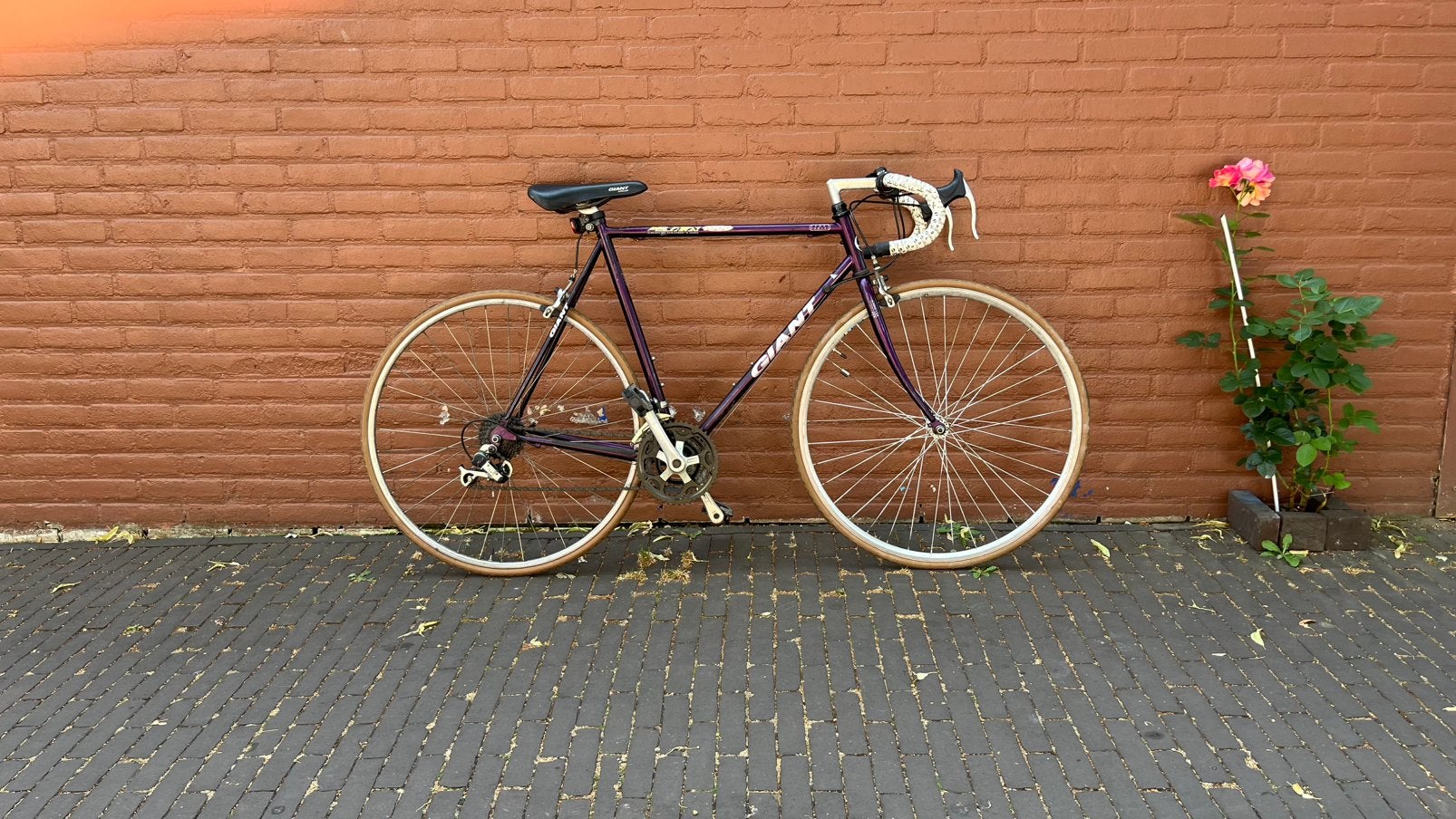 80s 90s Giant Peleton 7000 vintage racefiets, Fietsen en Brommers, Ophalen, 28 inch, Gebruikt, Staal
