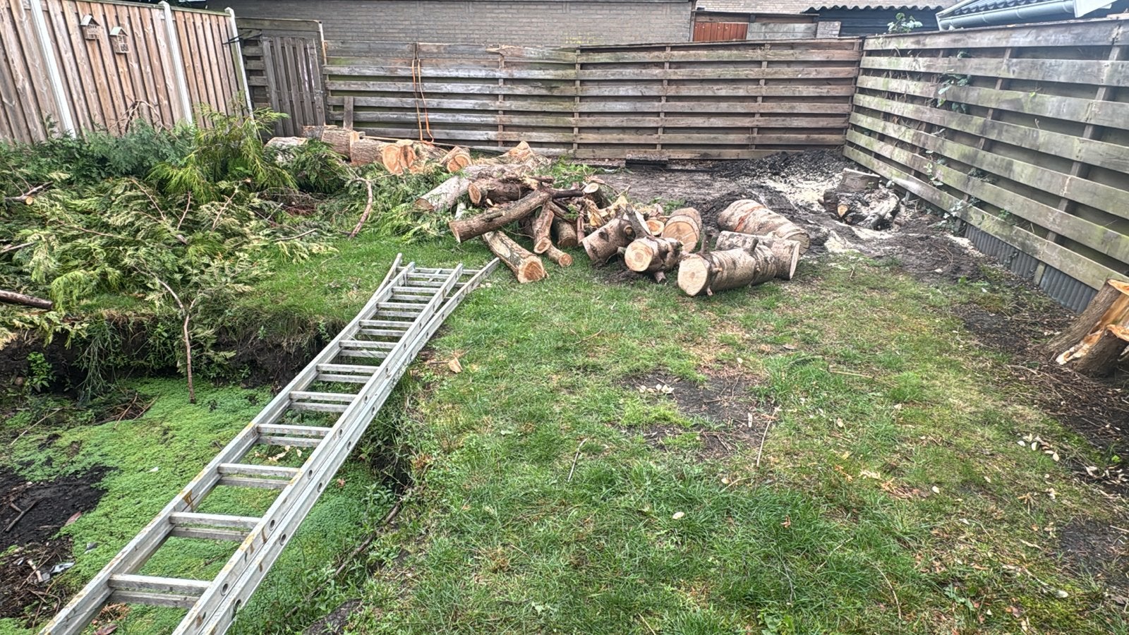 Gratis sparrenhout en conifeerhout, Tuin en Terras, Haardhout, Minder dan 3 m³, Ophalen, Overige houtsoorten, Blokken