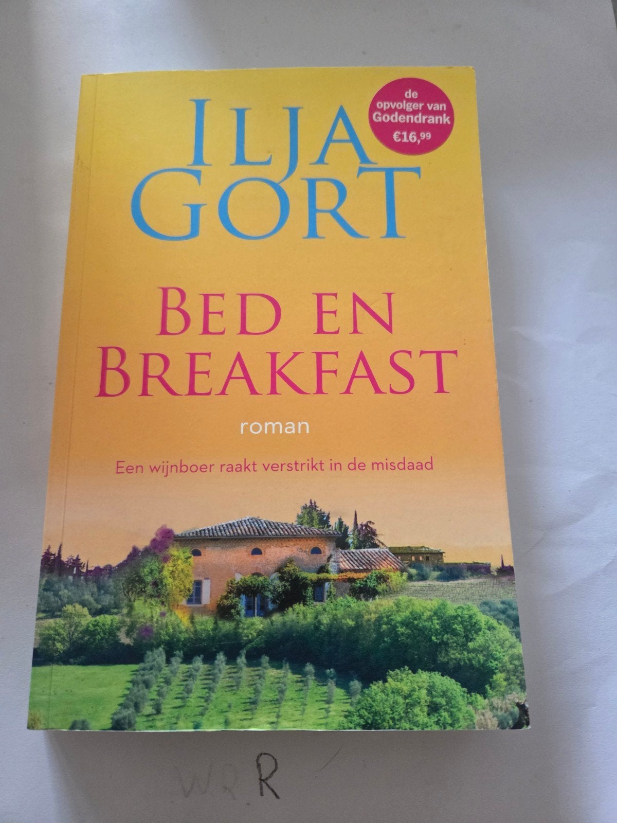 Ilja Gort - Bed en Breakfast (roman), Ophalen of Verzenden, Zo goed als nieuw, Ilja Gort