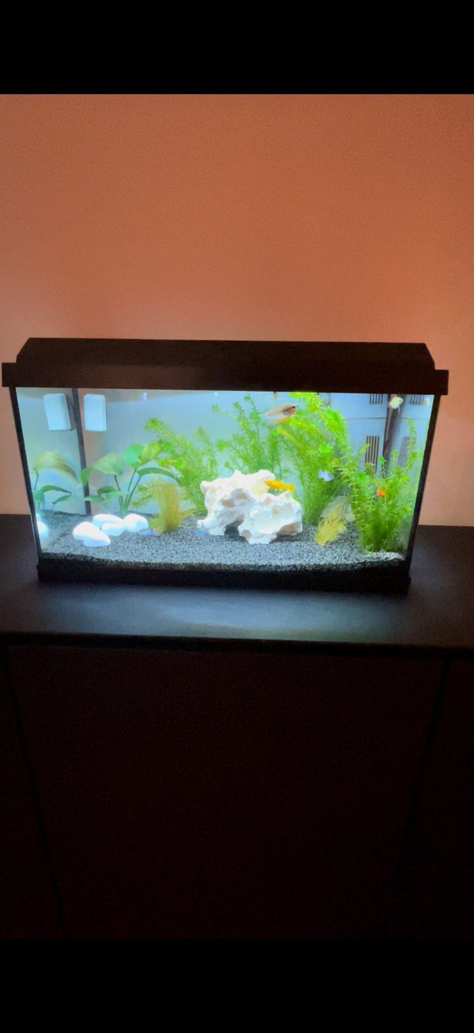 Aquarium
