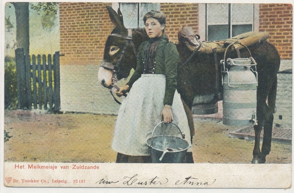 Zuidzande - Het Melkmeisje van Zuidzande, Ophalen of Verzenden, Voor 1920, Gelopen, Zeeland