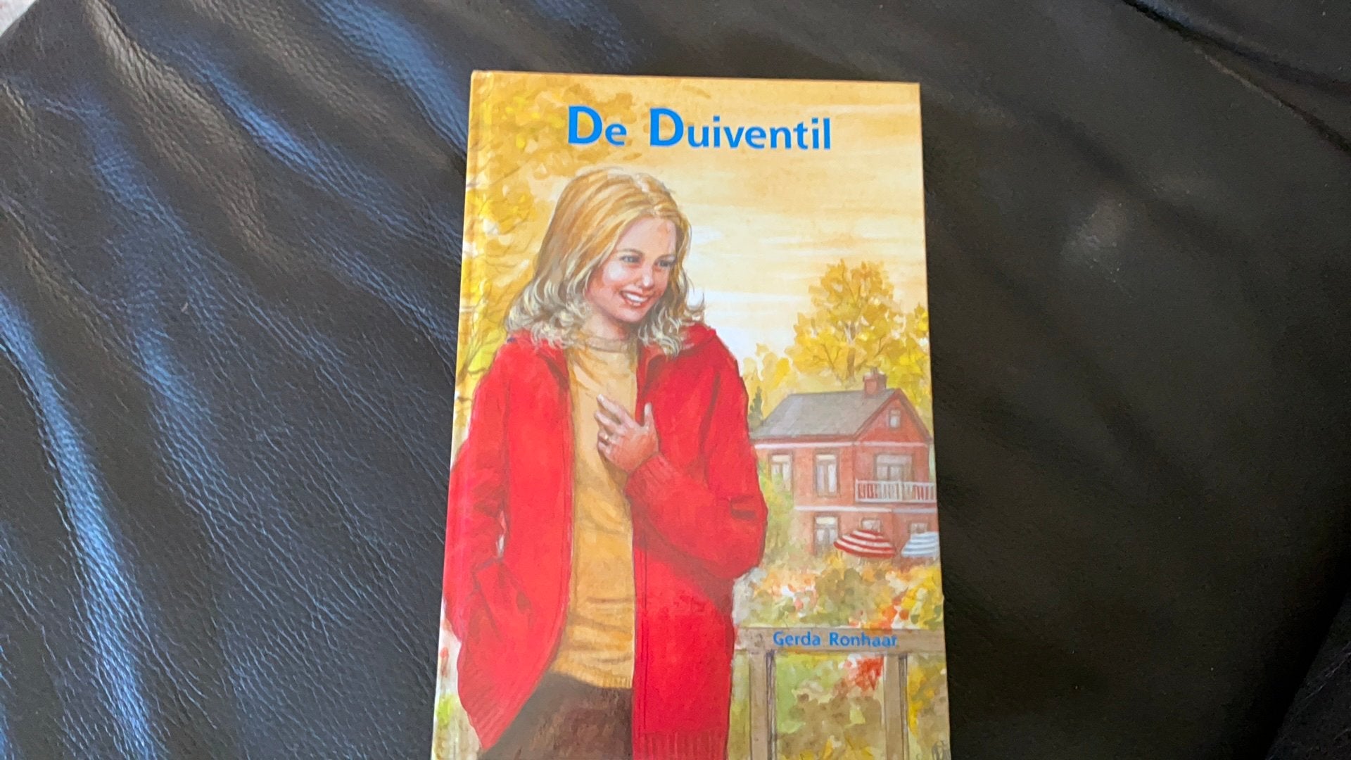 G. Ronhaar - De Duiventil, Ophalen of Verzenden, Zo goed als nieuw, Fictie