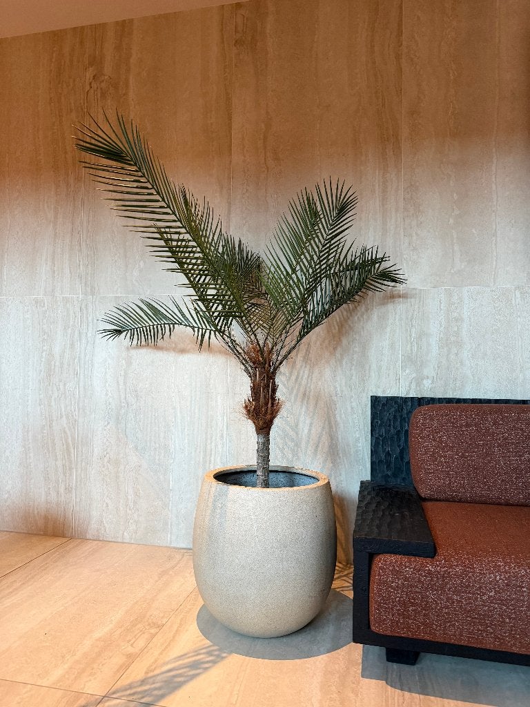 Kunstpalmboom, Ophalen, Groen, 146 cm, Kunstplant