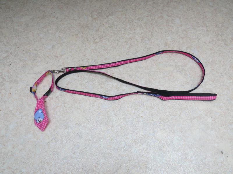 halsband met stropdas voor de hond en riem., Ophalen of Verzenden, Nieuw