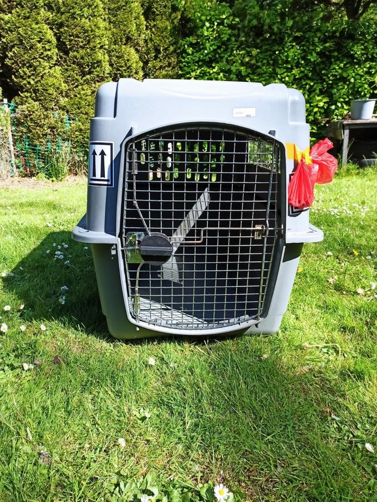 Honden bench, Dieren en Toebehoren, Transportboxen, Ophalen