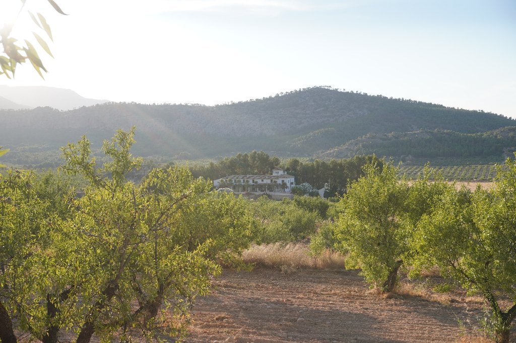 Boutique hotel, Murcia - Spanje Los Gatos del Calderero, Eigenaar