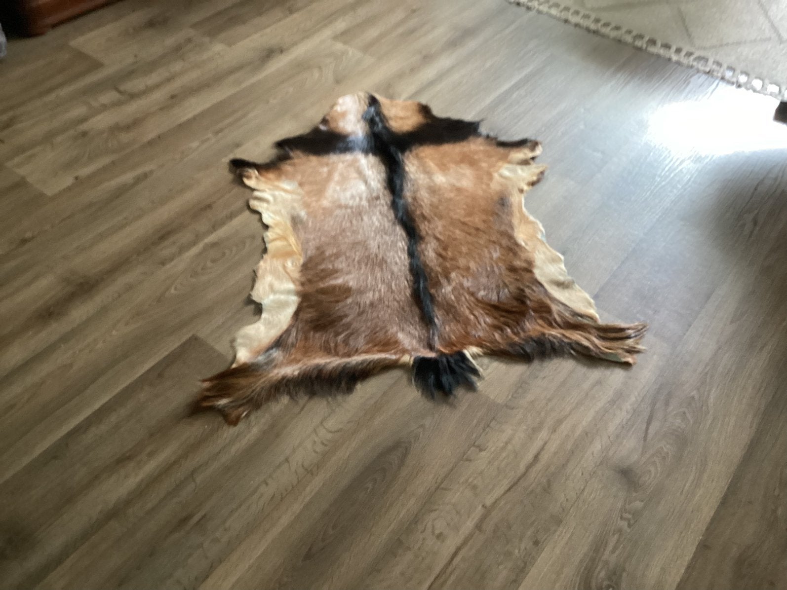 Dieren vloerkleed, Huis en Inrichting, Stoffering | Tapijten en Kleden, Ophalen, Zo goed als nieuw, Rechthoekig, 200 cm of meer