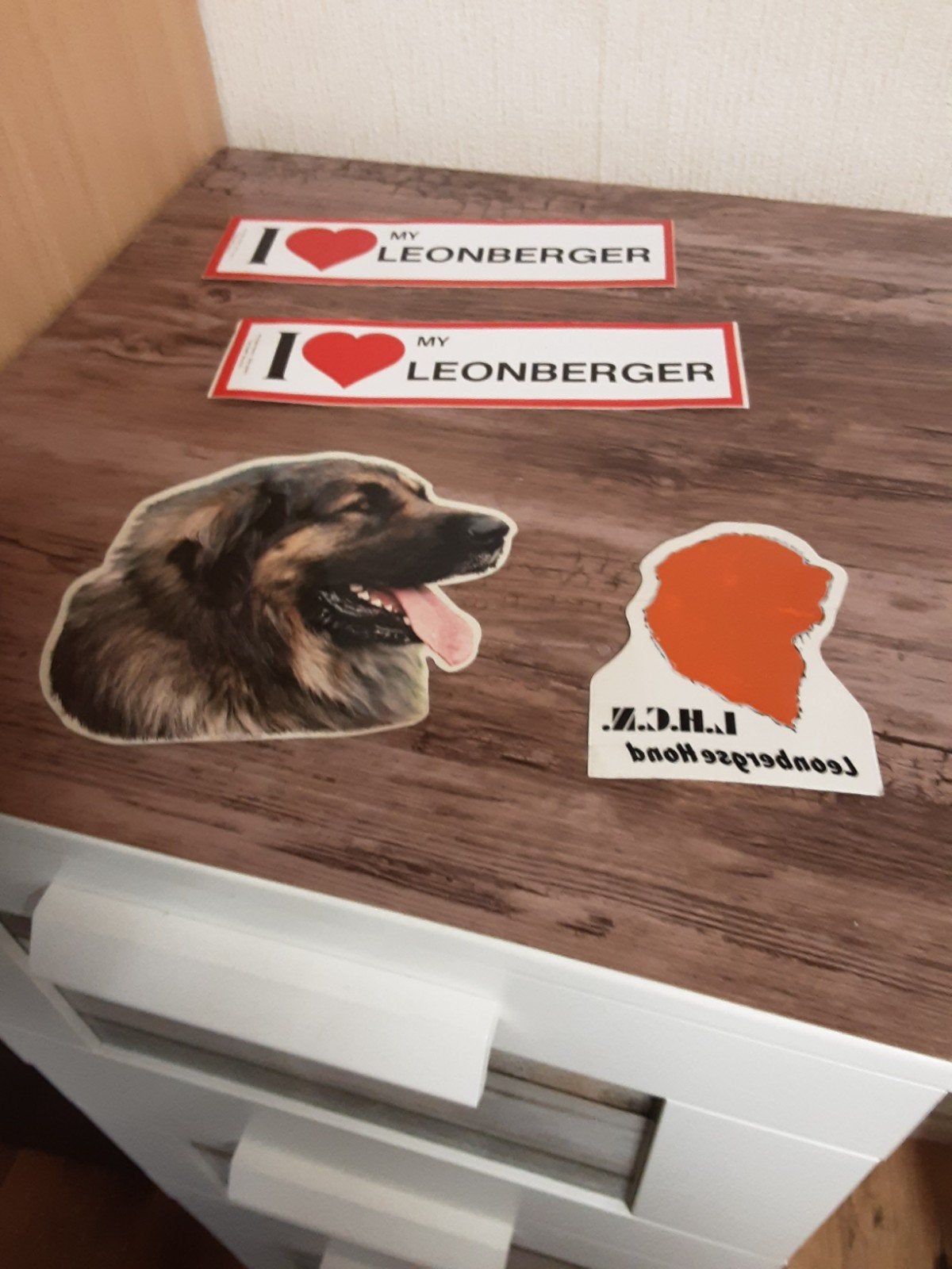 stickers van een Leonberger hond gratis ophalen, Ophalen of Verzenden