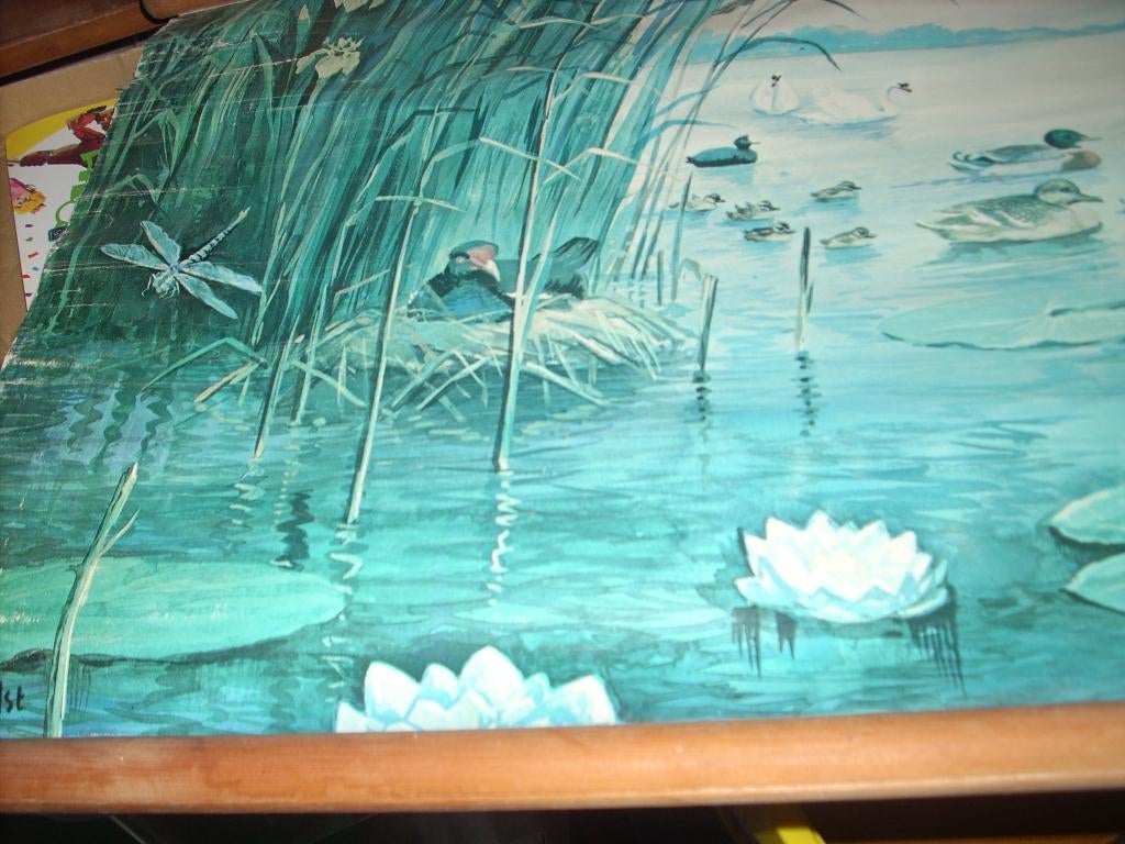 Verzamelaar - Oude Schoolplaten - De Seizoenen - 40<>120 cm, Ophalen, Gebruikt