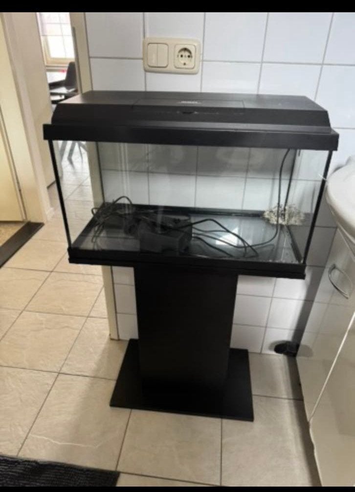 Juwel Aquarium 60L met meubel/kast, pomp, lamp en achterwand, Ophalen, Zo goed als nieuw, Leeg aquarium