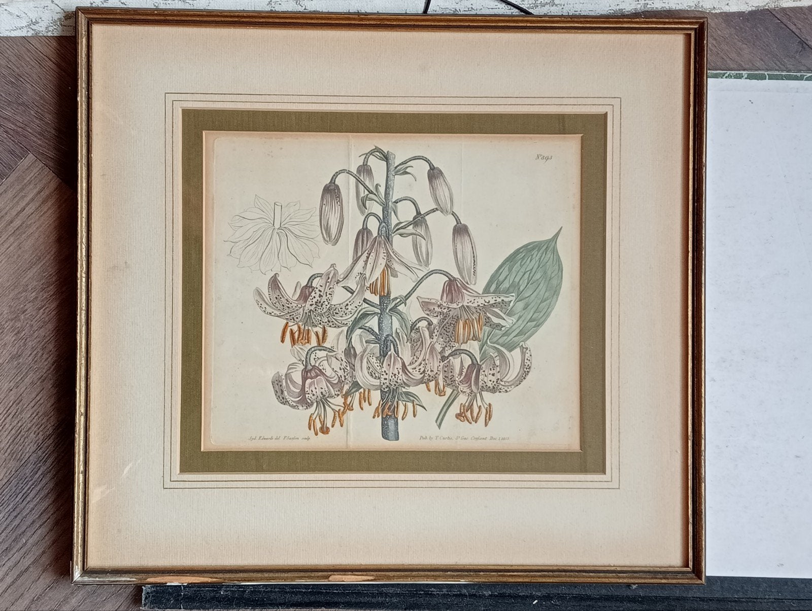 Turkse Lelie Botanische Gravure 1805, Antiek en Kunst, Ophalen of Verzenden