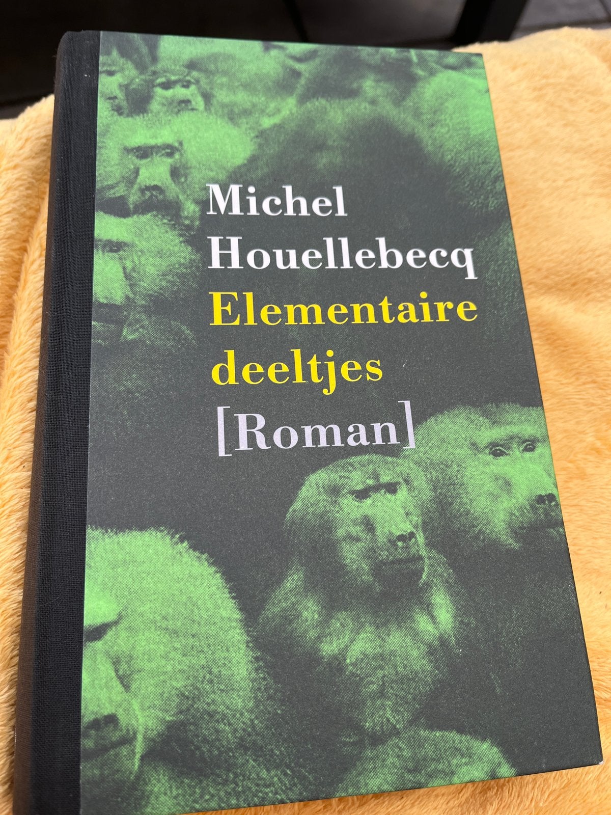Elementaire deeltjes - Michel Houellebecq (Roman), Ophalen of Verzenden, Zo goed als nieuw, Nederland