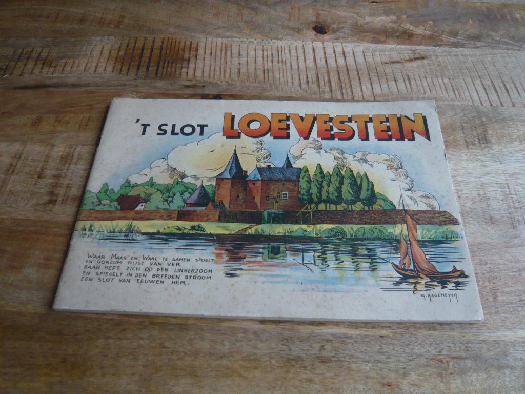 "t slot Loevestein geschiedenis boek, Ophalen of Verzenden, Zo goed als nieuw