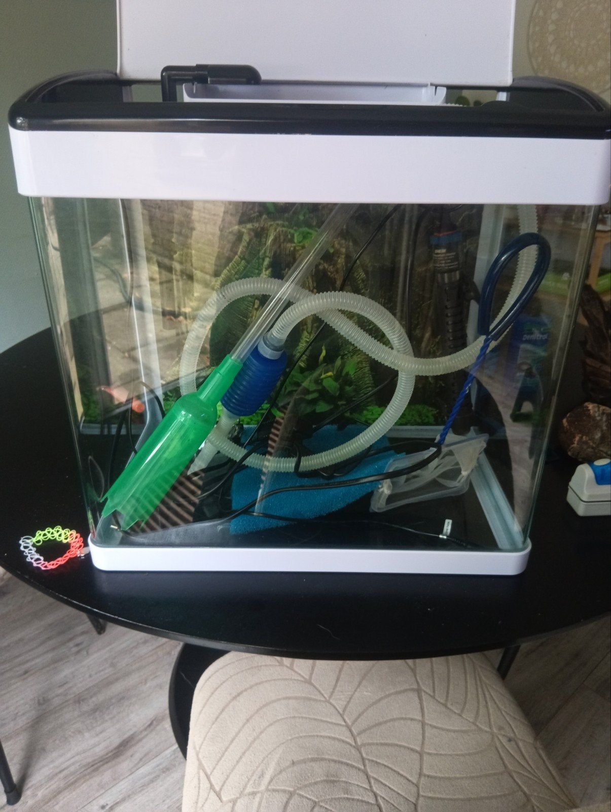 superfish panorama 50, Dieren en Toebehoren, Ophalen, Gebruikt, Leeg aquarium, Superfish