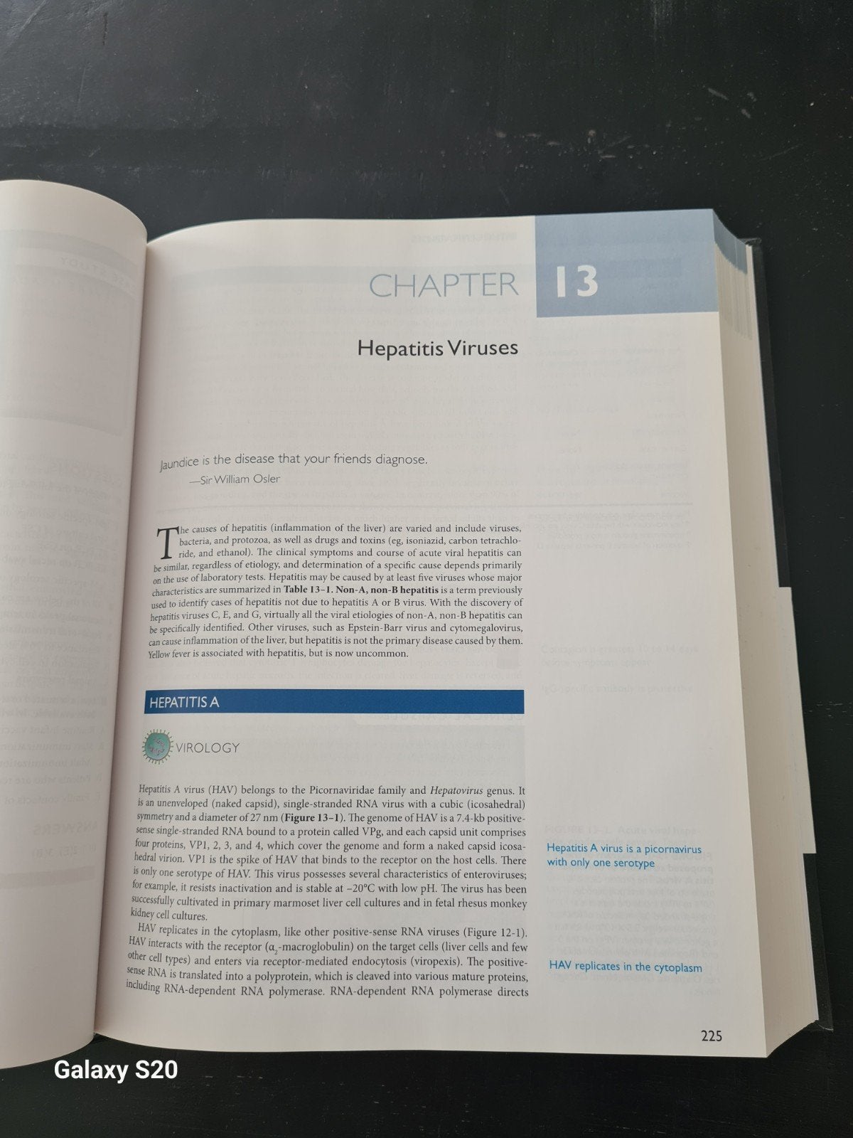 Sherris Medical Microbiology - Vijfde Editie, Kenneth J. Ryan, C. George Ray, Nafees Ahmad, Ophalen of Verzenden, Beta, WO