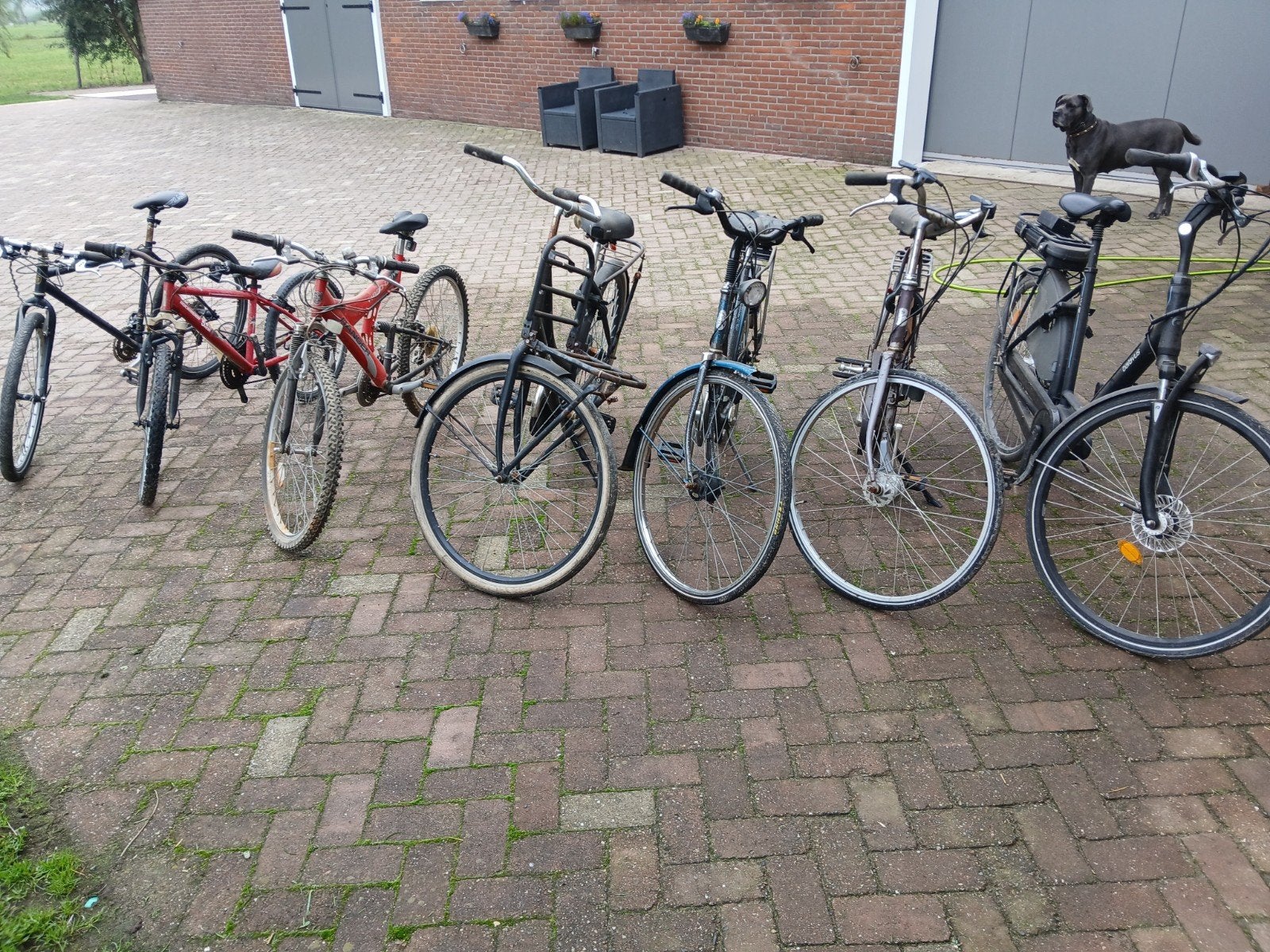 ebike defect station fiets mountainbike koga batavus, Ophalen, Gebruikt, Batavus