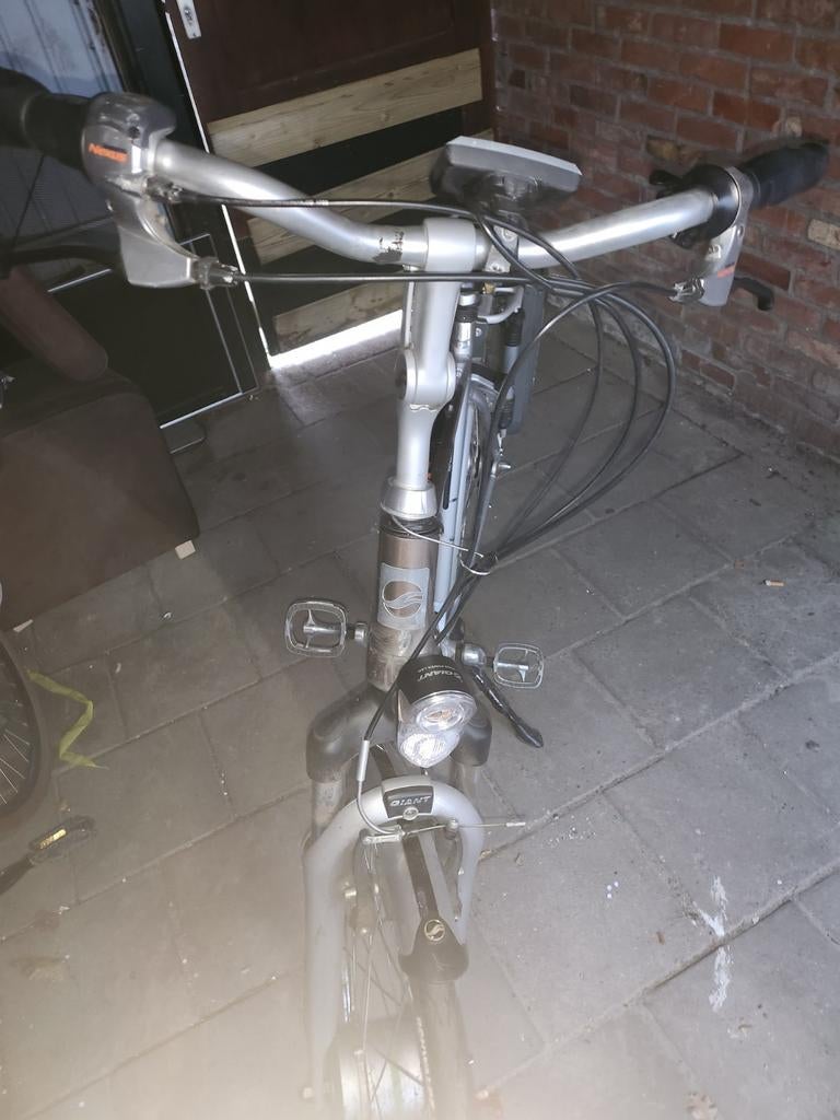Elektrische herenfiets, Ophalen, Giant