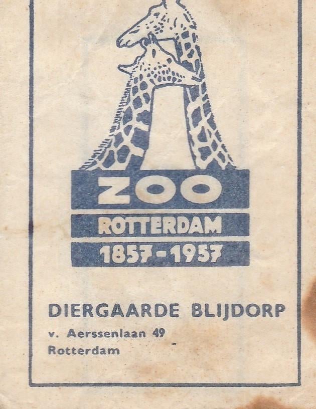 zoo diergaarde Blijdorp Rotterdam 1957 - v Aerssenlaan giraf, Verzamelen, Ophalen of Verzenden