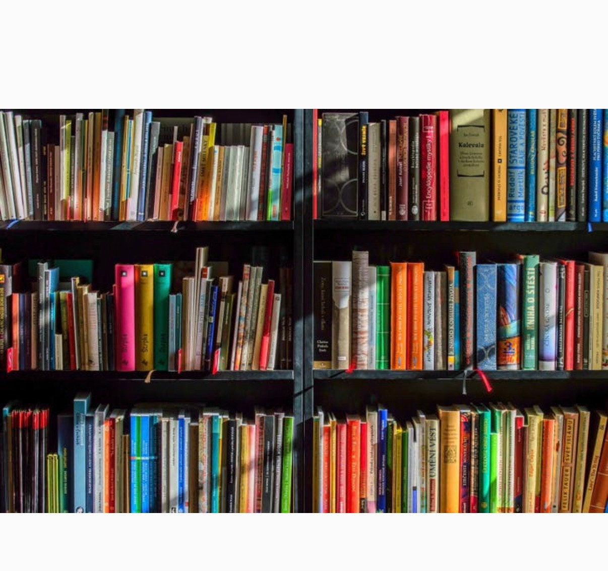 Gratis boeken gevraagd, Ophalen of Verzenden, Zo goed als nieuw, Overige onderwerpen