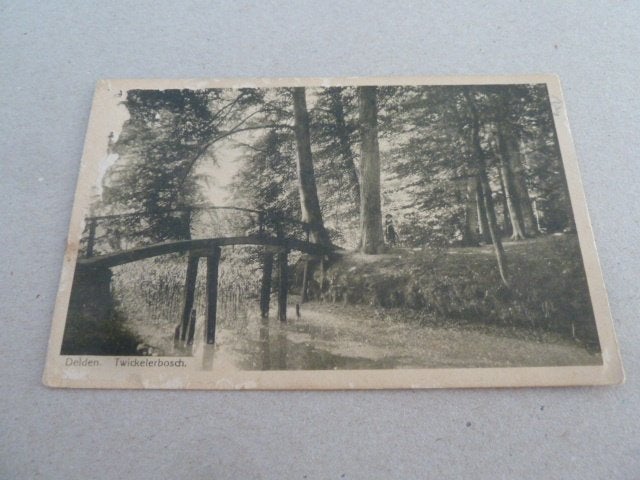 Delden 1921 Twickelerbosch, Verzamelen, Ophalen of Verzenden, 1920 tot 1940, Gelopen