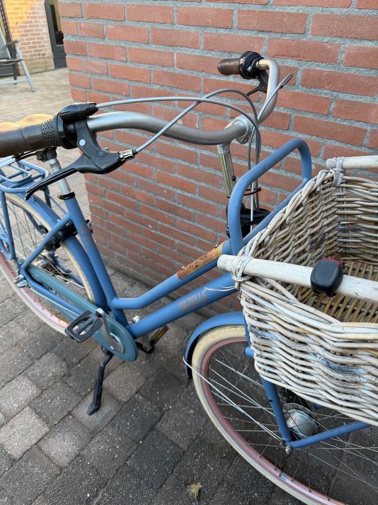 Gazelle dames Transportfiets Heavy Duty Blauw/ Mand 26 inch, Ophalen, Versnellingen, Gazelle, Trommelrem