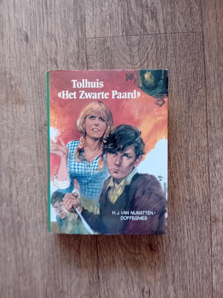 Boek - Tolhuis Het zwarte Paard - H.J. van Nijnatten, Boeken, Gelezen, H.J. Nijnatten-Doffegnies, Ophalen of Verzenden, Nederland
