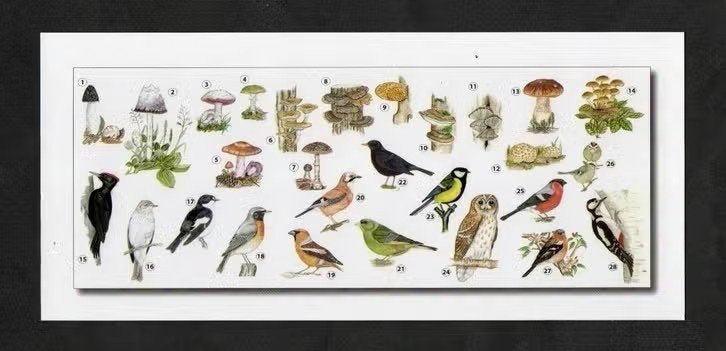 Merel Specht Vink Koolmees Bosuil Stinkzwam Inktzwam., Ophalen of Verzenden, 1980 tot heden, Ongelopen, Vogel
