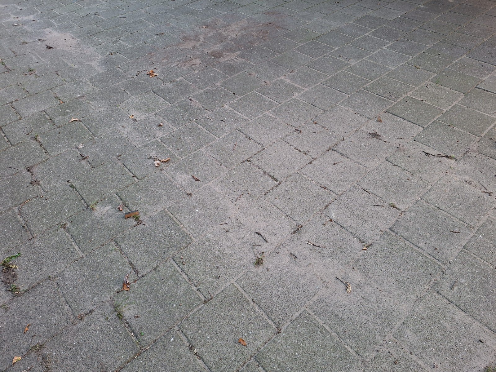 Gratis betontegels, ca. 95 m², zelf uithalen, Ophalen, Gebruikt, 10 m² of meer, Beton
